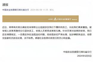 开云手机官网入口网址查询